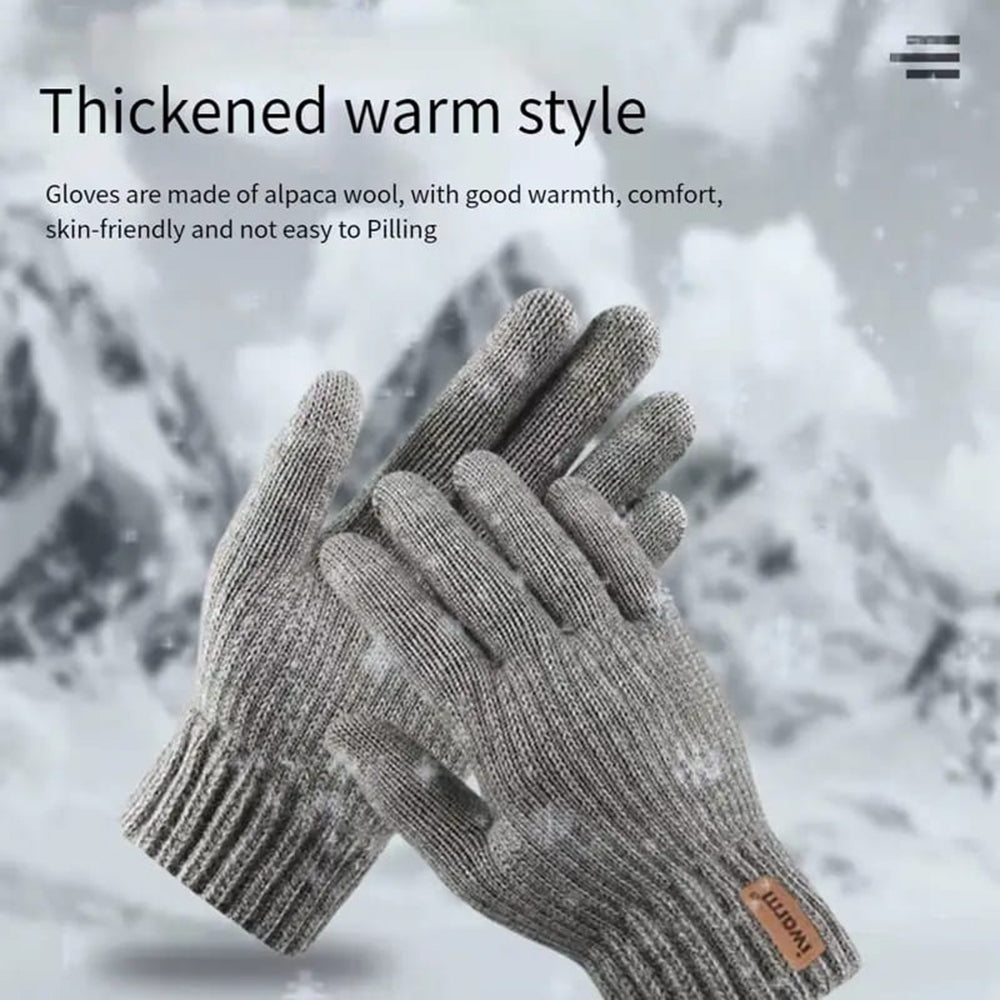 Iwarm ST0016 Touchscreen Winter Gloves, Size 22cm, Brown