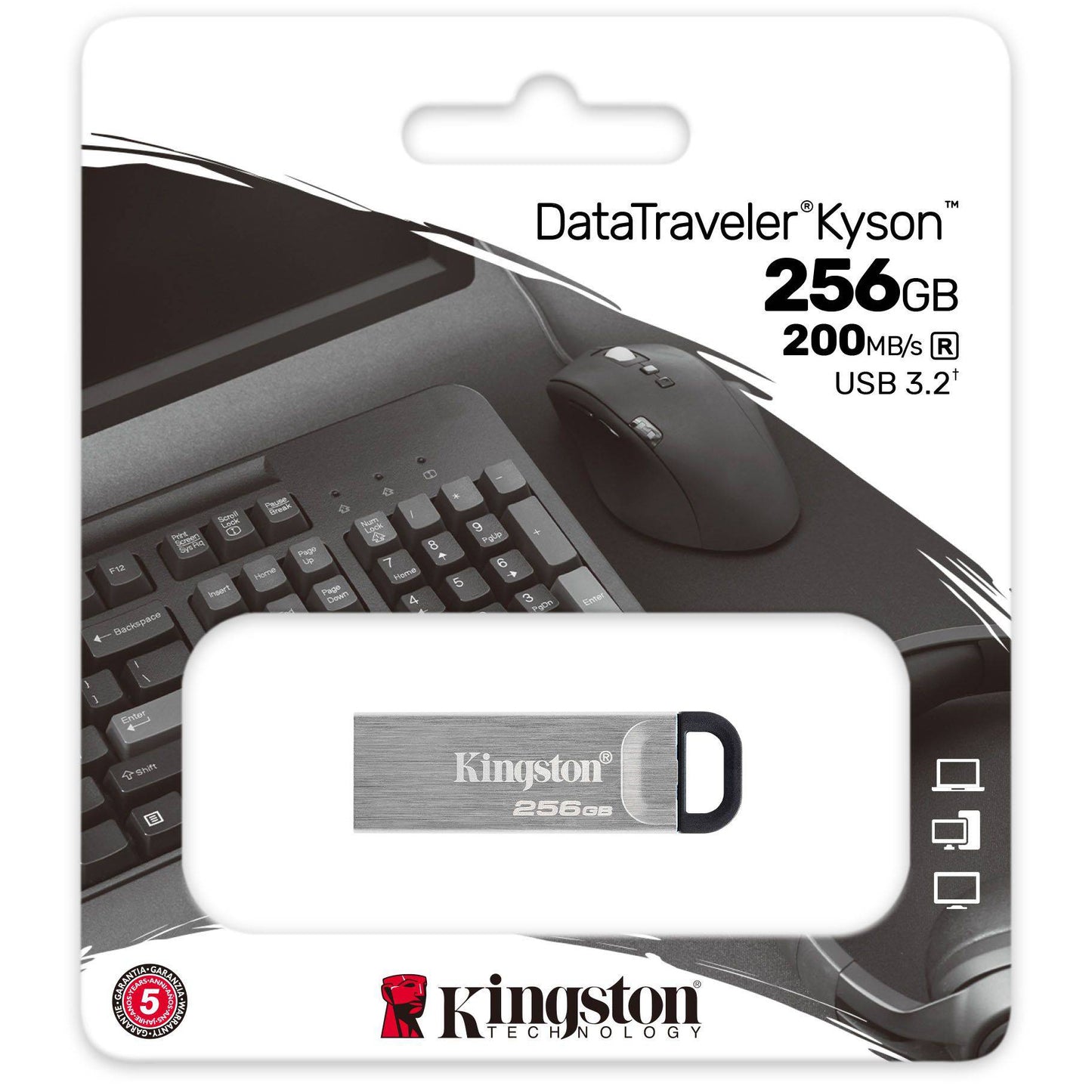 Externí paměť USB-A 3.2 Kingston DT Kyson, 256Gb DTKN/256GB