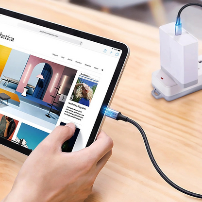 USB-C Data and Charging Cable - USB-C UGREEN US316, 100W, 3m, Gray