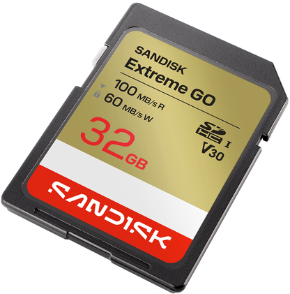 Paměťová karta SDHC SanDisk Extreme Go, 32Gb, Třída 10 / UHS-1 U1 SDSDXGN-032G-GNCIN