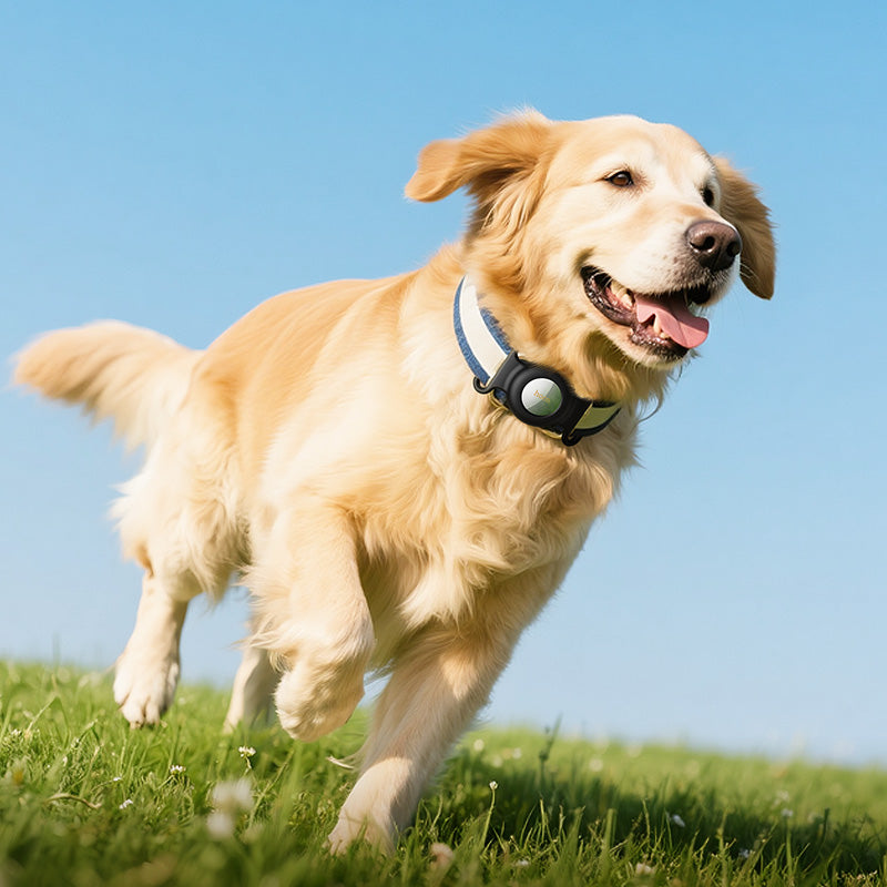 HOCO SmartTag E91C pro iOS Series, Bílá