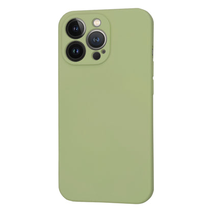 MagSafe pouzdro pro Apple iPhone 13 Pro, Techsuit, SoftFlex, Matcha