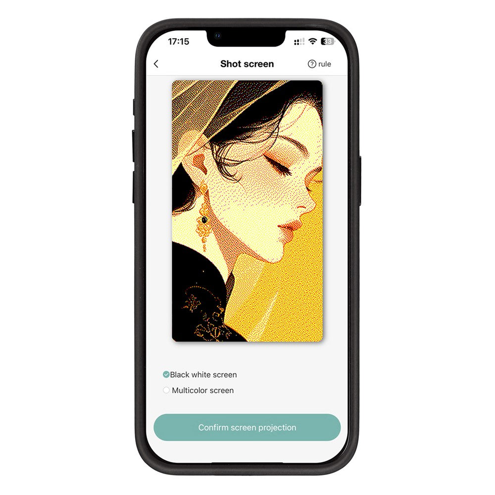 Pouzdro pro Apple iPhone 14 Pro, OEM, Přizpůsobený E-Ink displej, Černá
