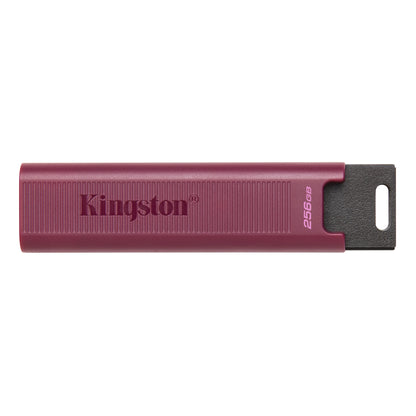 Externí paměť USB-A 3.2 Kingston DT Max, 256Gb DTMAXA/256GB