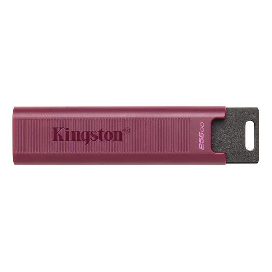 Externí paměť USB-A 3.2 Kingston DT Max, 256Gb DTMAXA/256GB