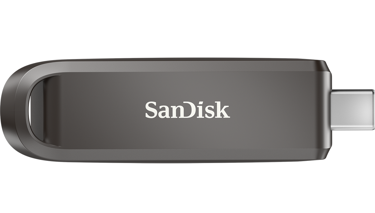 Externí paměť USB-C SanDisk Extreme Pro, 256Gb SDCZ890-256G-G46