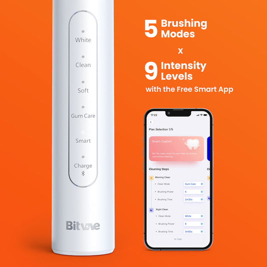 Elektrický zubní kartáček Bitvae S2 Smart, černý